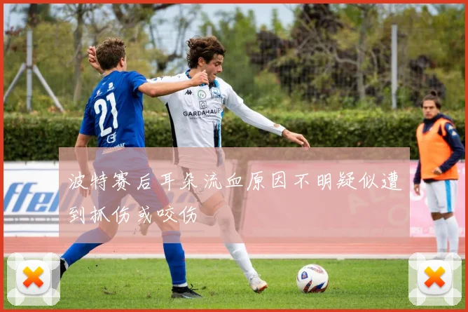 波特赛后耳朵流血原因不明疑似遭到抓伤或咬伤